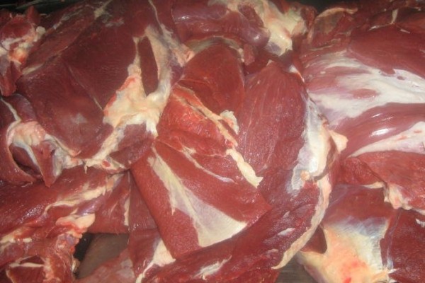 HALAL Frozen Boneless Beef-Blade, Chuck, Topside, Silverside - FRISA FRIGORIFICO RIO DOCE S/A